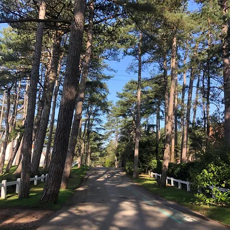 Woodune Nyaraló