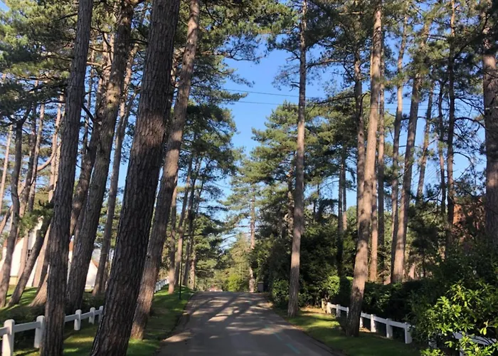 Woodune Holiday home